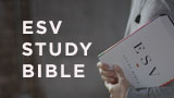 ESV Study Bible