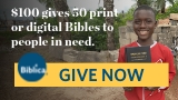 NIV Foundation Study Bible