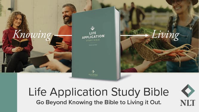 Buy Life Application Study Bible